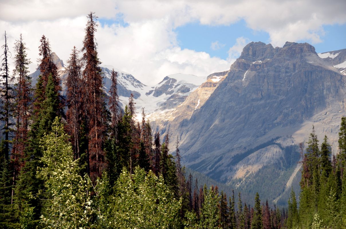 35 The President From Emerald Lake Road in Yoho